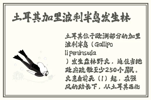 董事长的滋润2